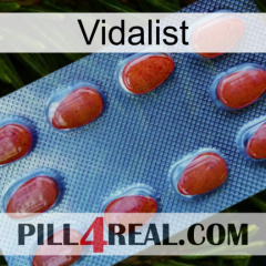 Vidalist 06
